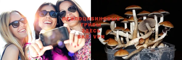 трава Богданович