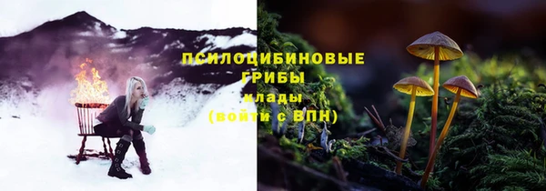 трава Богданович