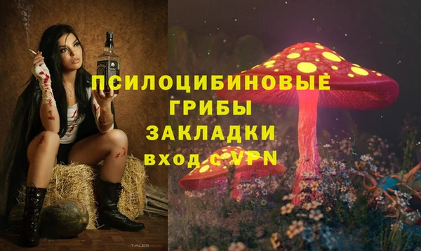 наркотики Богородицк