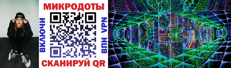 Купить Окуловка Галлюциногенные грибы Psilocybine cubensis